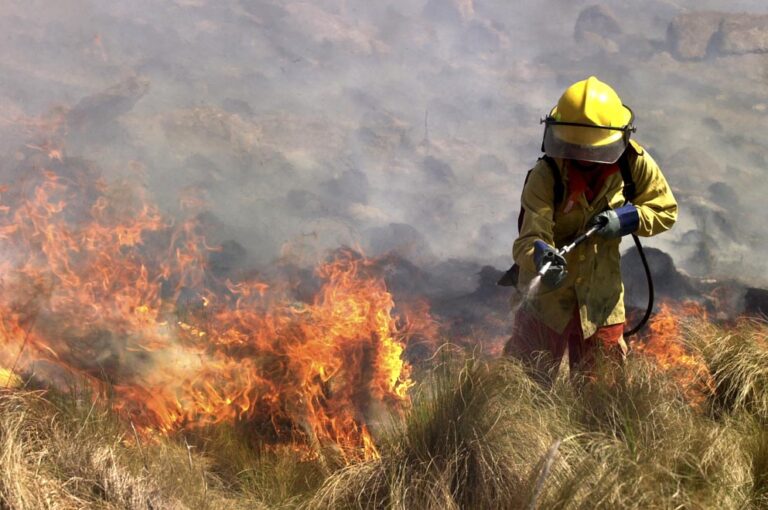Incendios25
