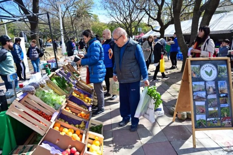 MERCADO DE ABARATAMIENTO