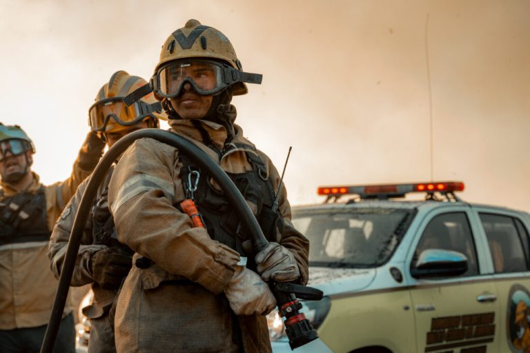 INCENDIOS FORESTALES