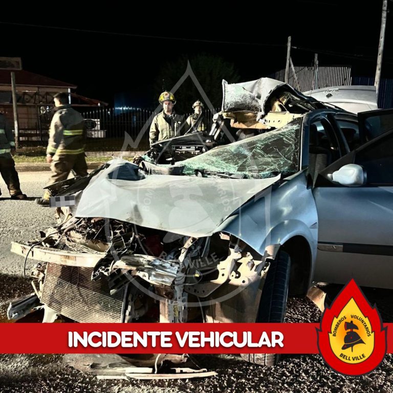 WhatsApp Image 2026-02-07 at 08.00