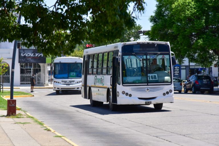 colectivo urbano