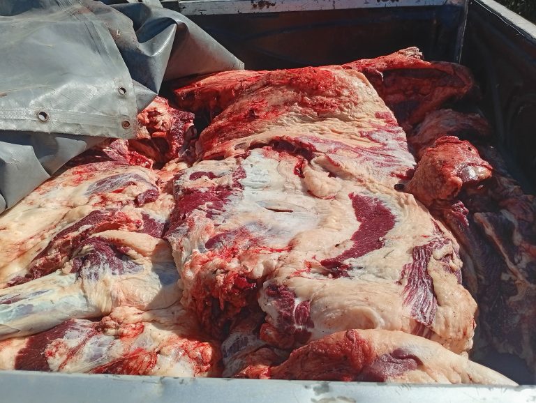 8ce9dbb2-bce3-4d15-912b-83b443aa1ed6