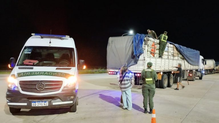 WhatsApp Image 2026-03-19 at 18.44