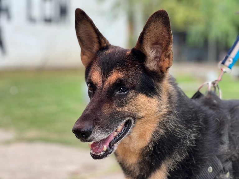 cb7cbdff-a471-46f4-ae0e-58e24a581ca2