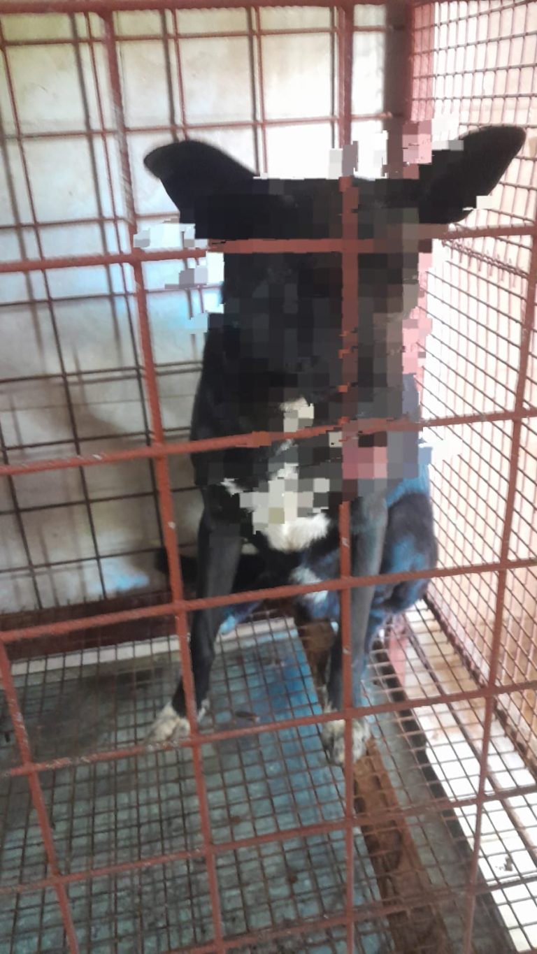 WhatsApp Image 2026-04-16 at 13.07