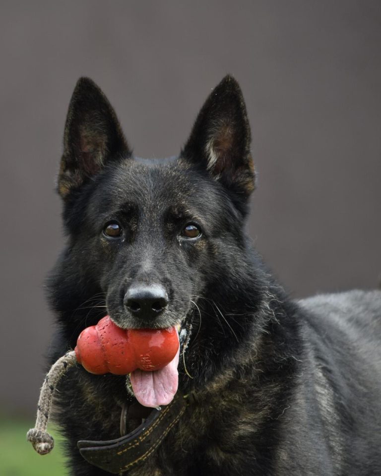 WhatsApp Image 2026-04-22 at 12.40