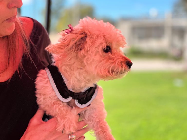 a2e8a802-8ecc-4f5d-ac8b-0bc62702d1a2