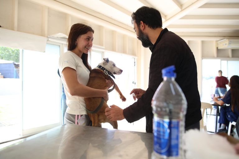 f0401237-0999-4ea7-bd28-e83db4c6ec8e